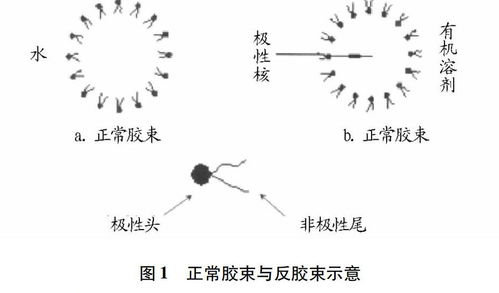 反膠束水合萃取技術(shù)在生物工程領(lǐng)域的研究進(jìn)展